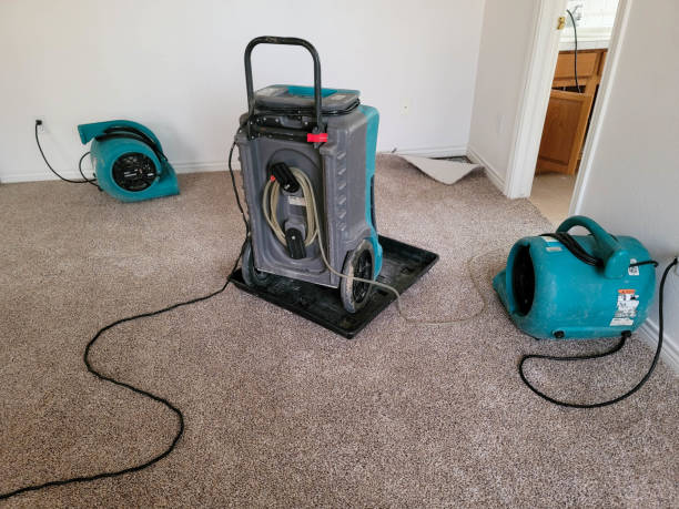 Best Sewage cleanup and water damage restoration  in Slidell, LA