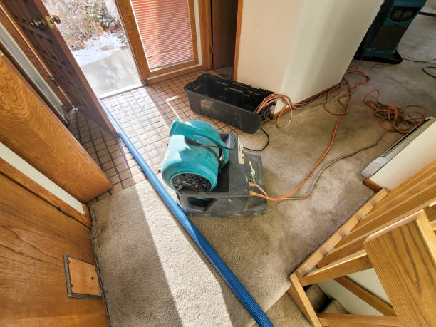 Best Water damage cleanup near me  in Slidell, LA