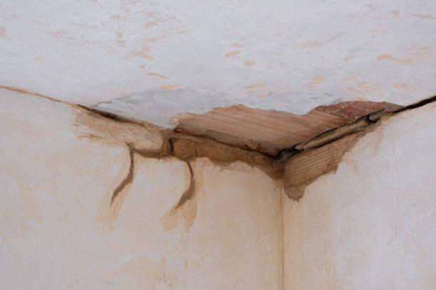 Local water damage restoration in Slidell, LA