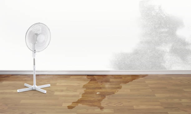 Best Commercial water damage restoration  in Slidell, LA