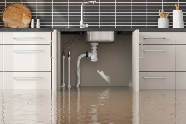 Best Carpet water damage restoration  in Slidell, LA